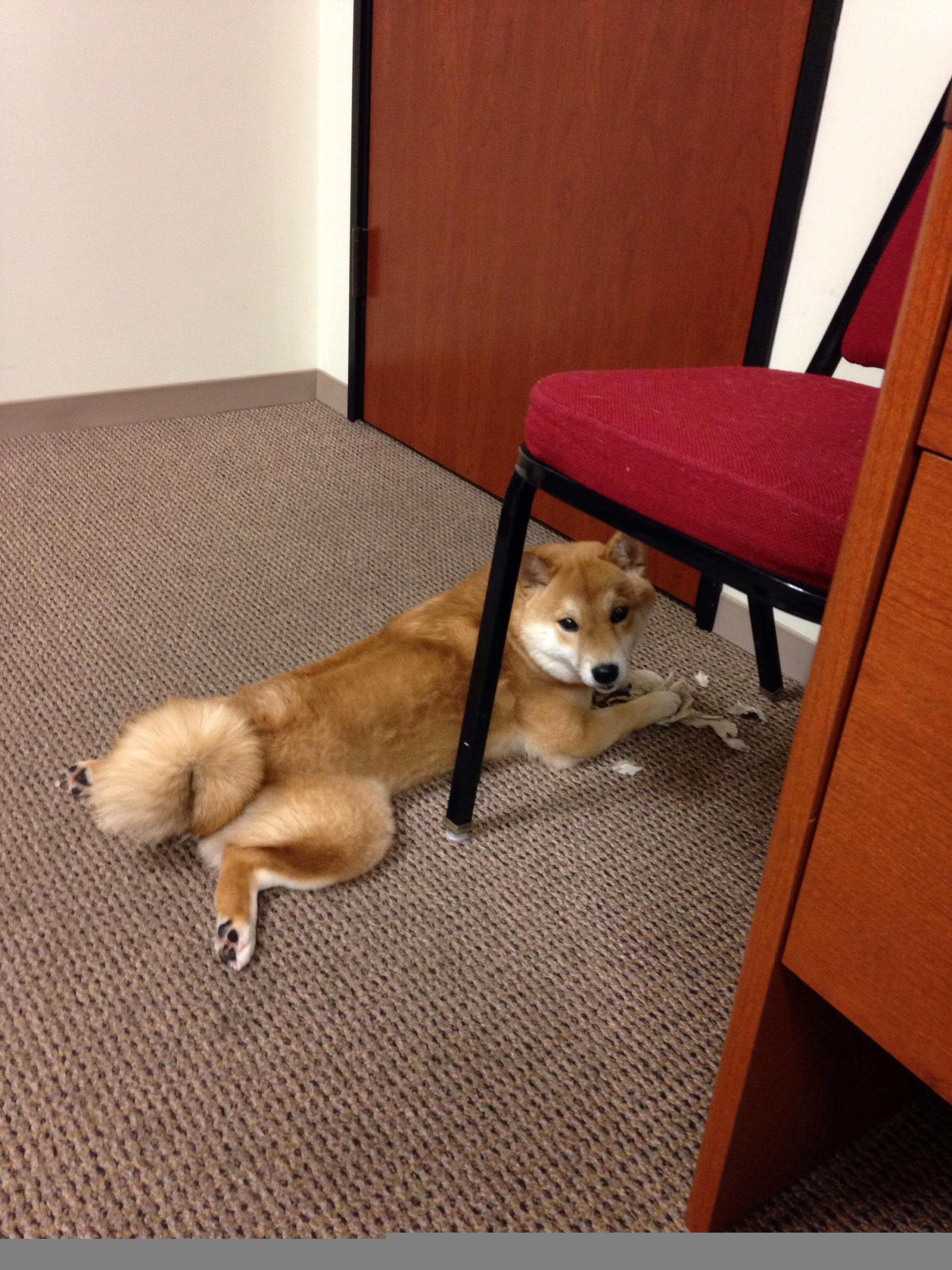 九游娱乐官网 (JIUYOU)-《Dota 2全球邀请赛，Liquid战队三连冠再创新纪录》，dota2 2021战队