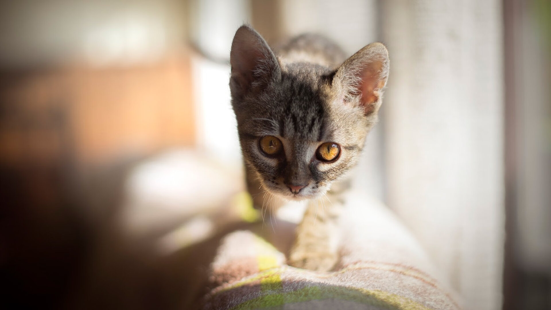 普拉提教练培训机构加强与高校合作，提升专业性，普拉提教练培训哪里好 有学过的吗