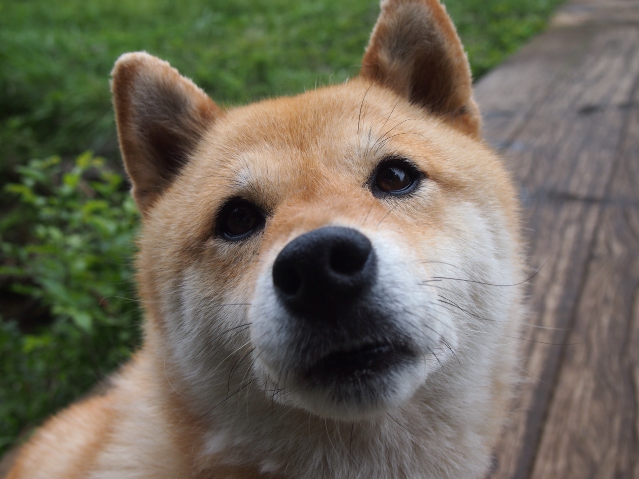 九游用户空间-特色“冰雪嘉年华”，冰上运动融合文化盛宴，冰雪嘉年华门票多少钱