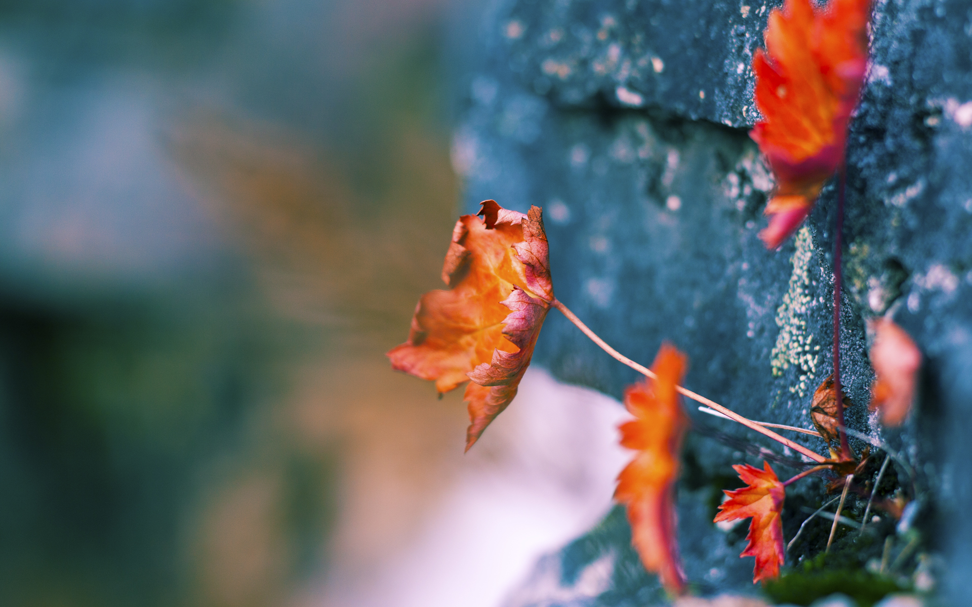 Jiuyou-篮球训练课程融合虚拟现实技术，篮球模拟课