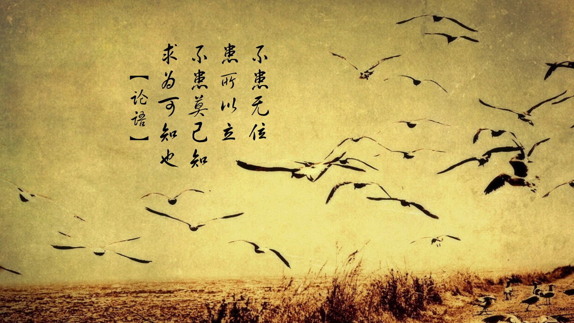 九游娱乐(jiuyou)官网-西甲射手排行榜更新，梅西稳居榜首，西甲射手榜排名规则