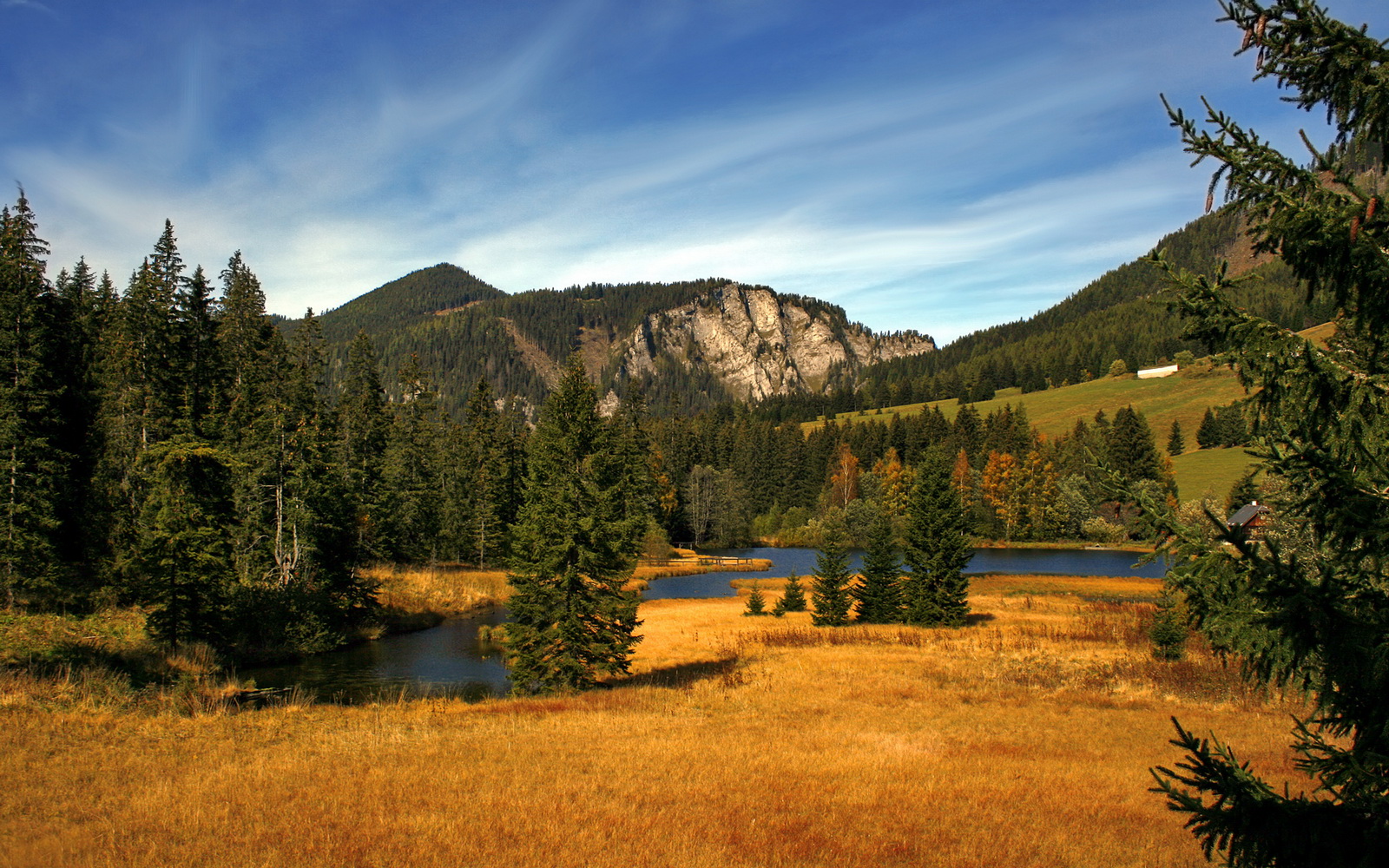 赛季最佳阵容：联盟明星的最强五人组合，lol明星选手排名