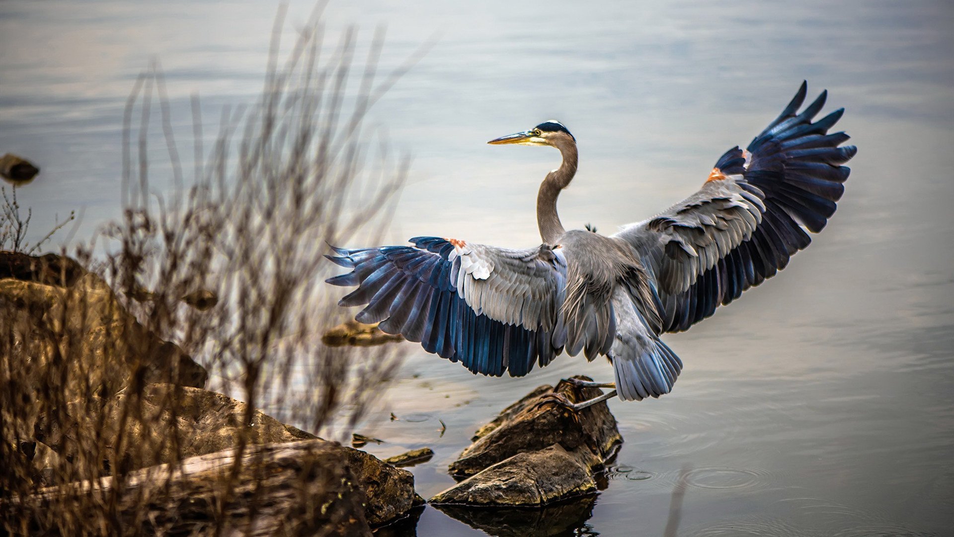 足球比赛中的“黑幕”揭秘:事实还是猜测?,足球比赛黑哨