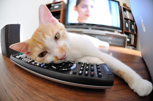 -逆境中奋勇反击：欧冠赛场上的“胜利密码”，欧冠最伟大的逆转