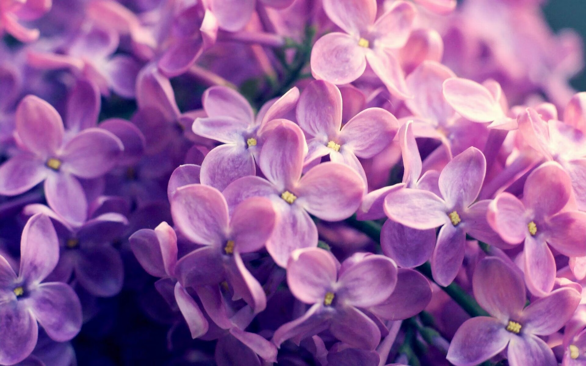 九游下载官网-亚洲豪强争霸，精彩对决持续进行，亚洲豪苑