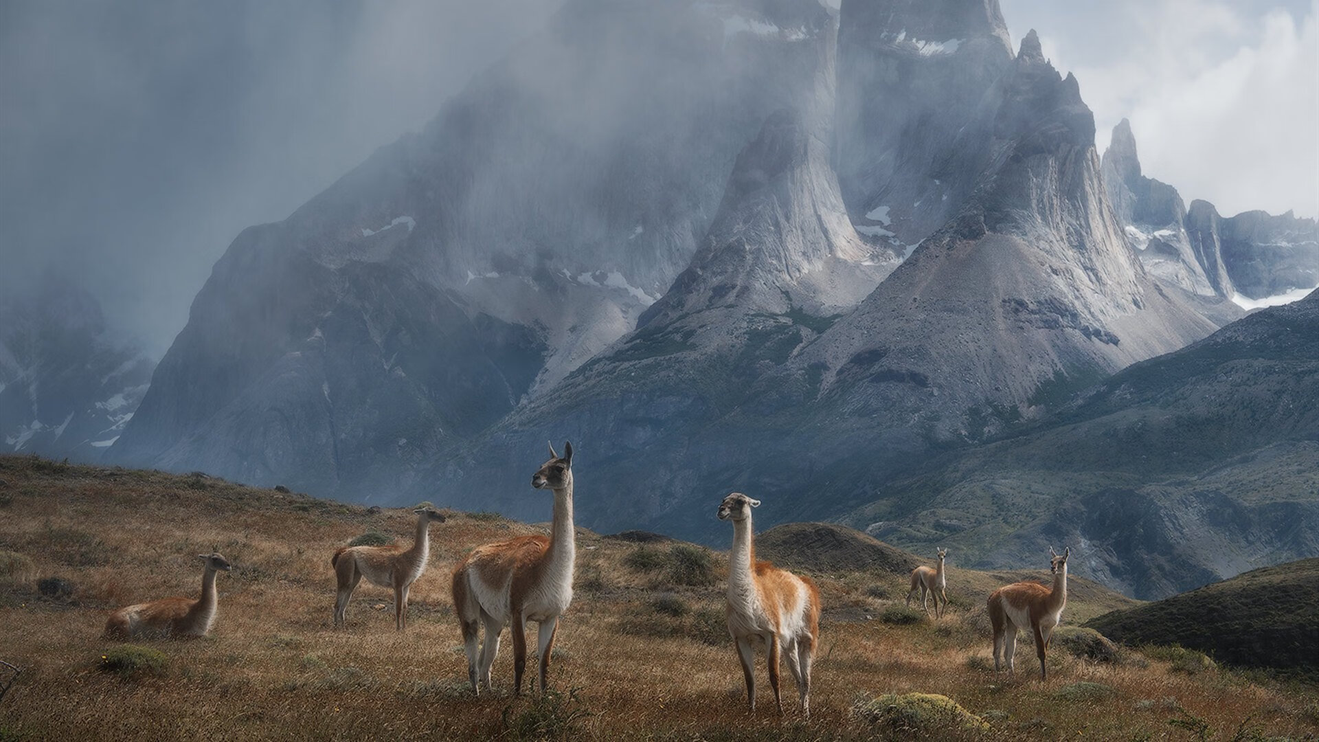 汉堡队客场失利，降级形势岌岌可危，汉堡 队