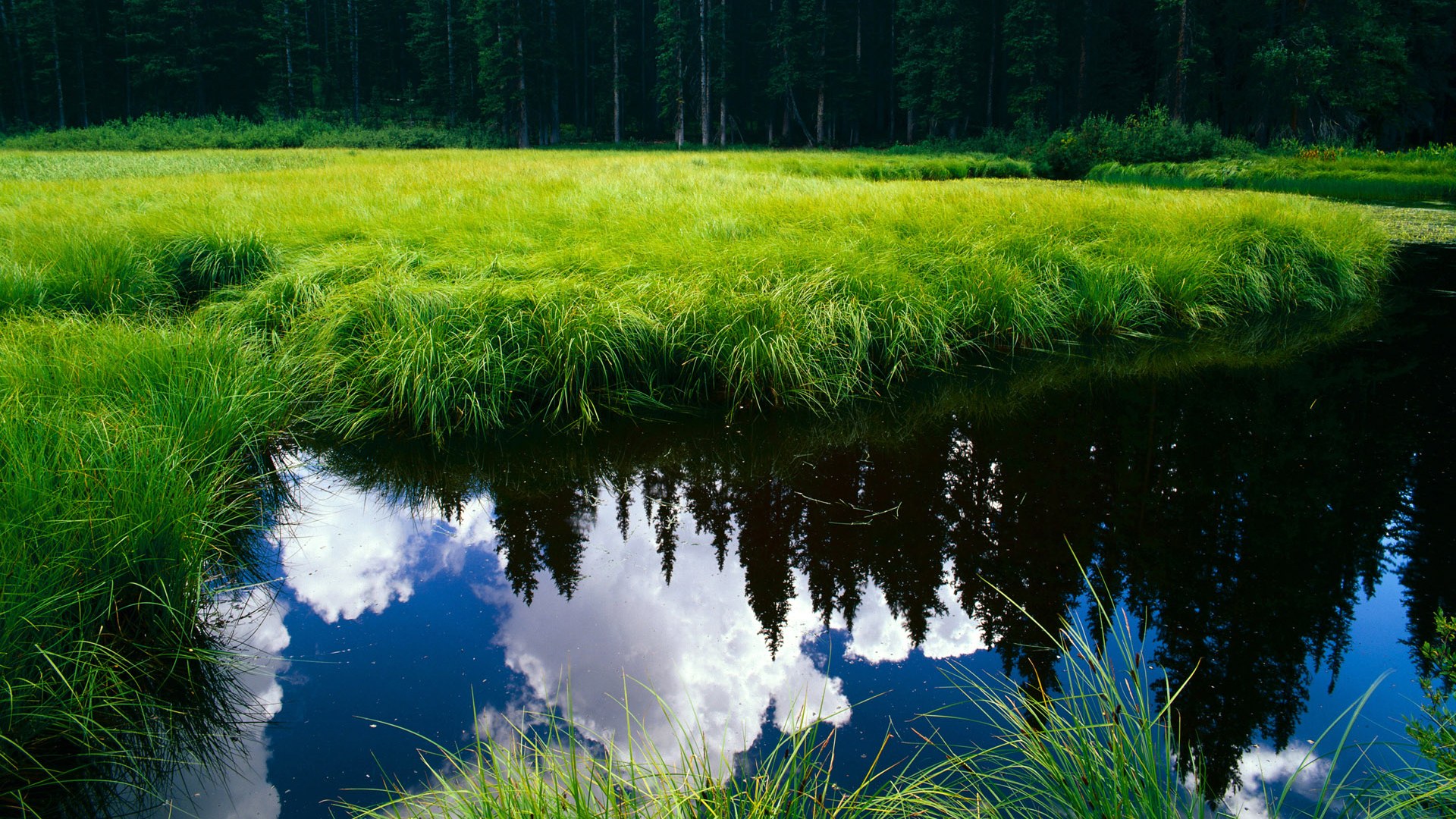 红军在欧冠四分之一决赛中被淘汰，止步八强，欧冠红军是哪个队