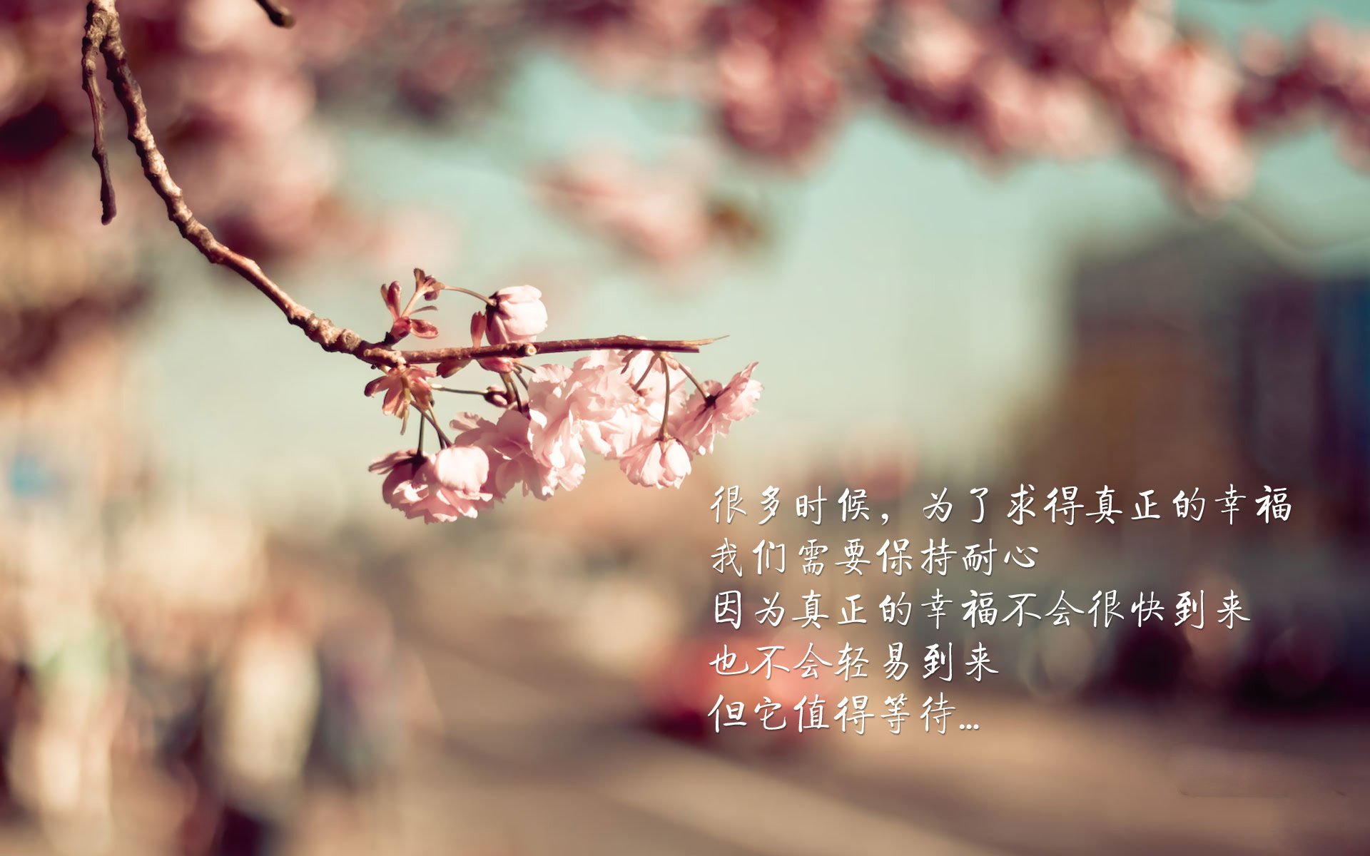 高校体育赛事品牌传播策略创新,体育赛事营销有哪些创新方式