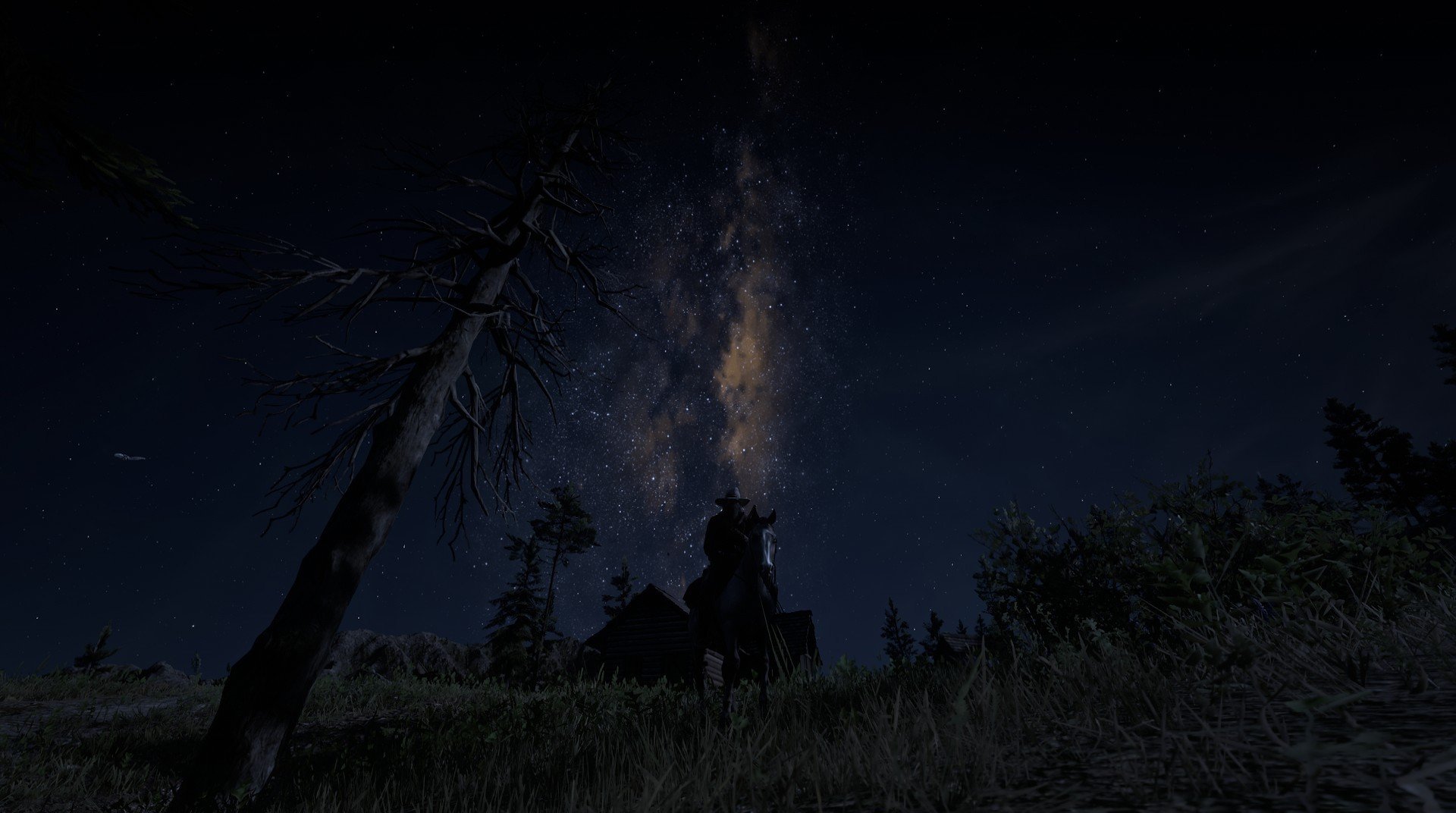 仰泳大战美队领先毫厘之间,仰泳比赛视频欣赏