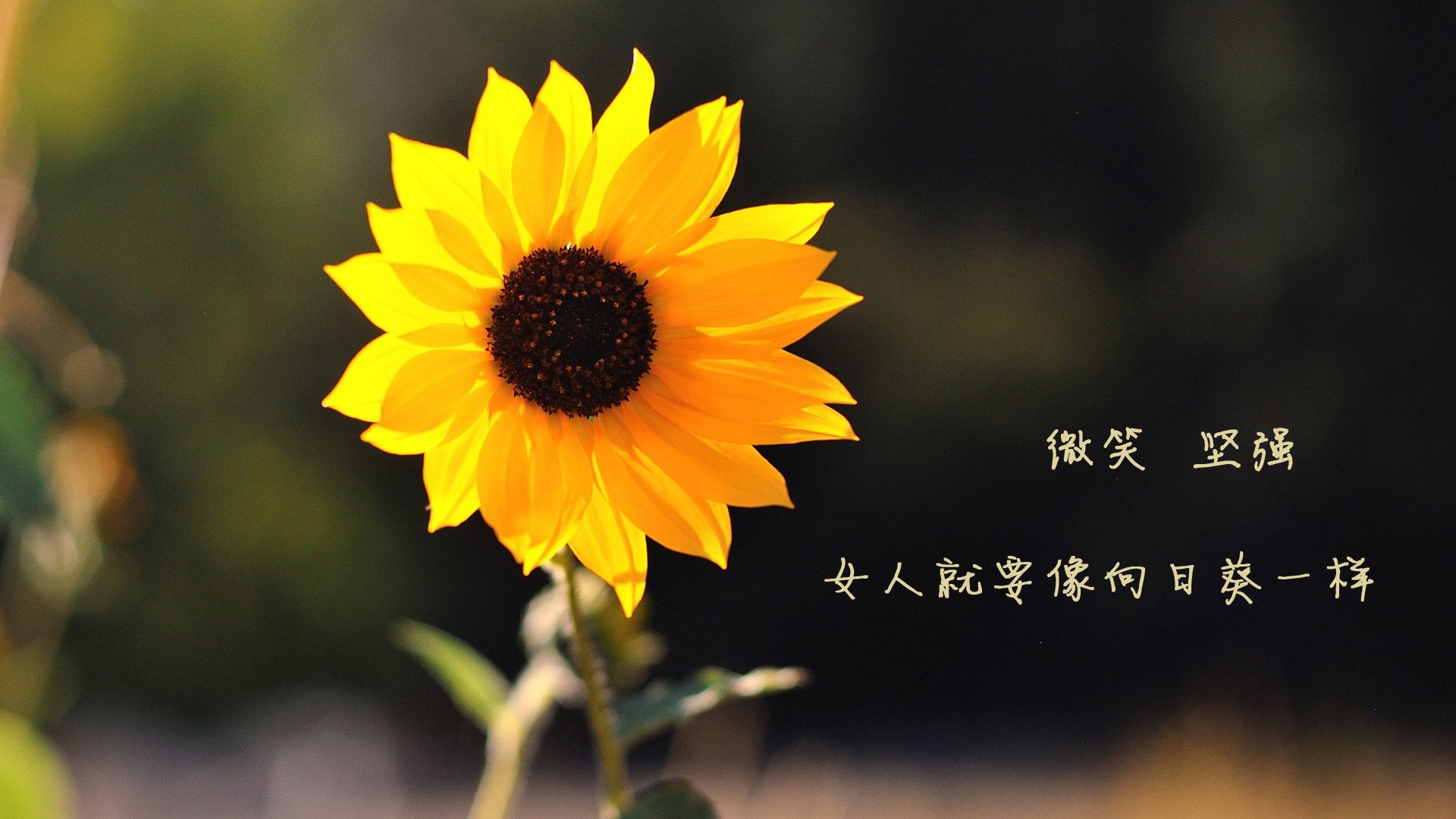 国际热身赛中国青年队战平 球员状态稳定,中国队热身赛安排