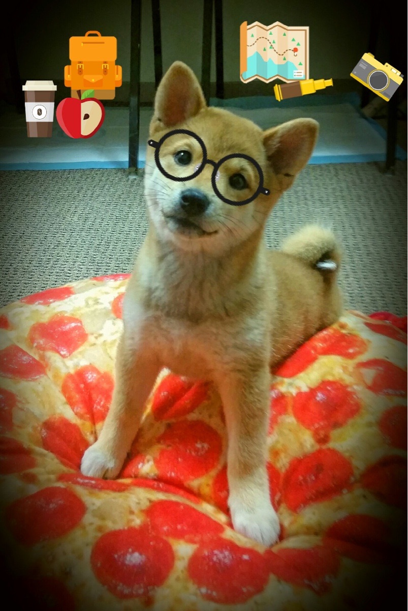 外教风格难以与本土文化融合，外教理念