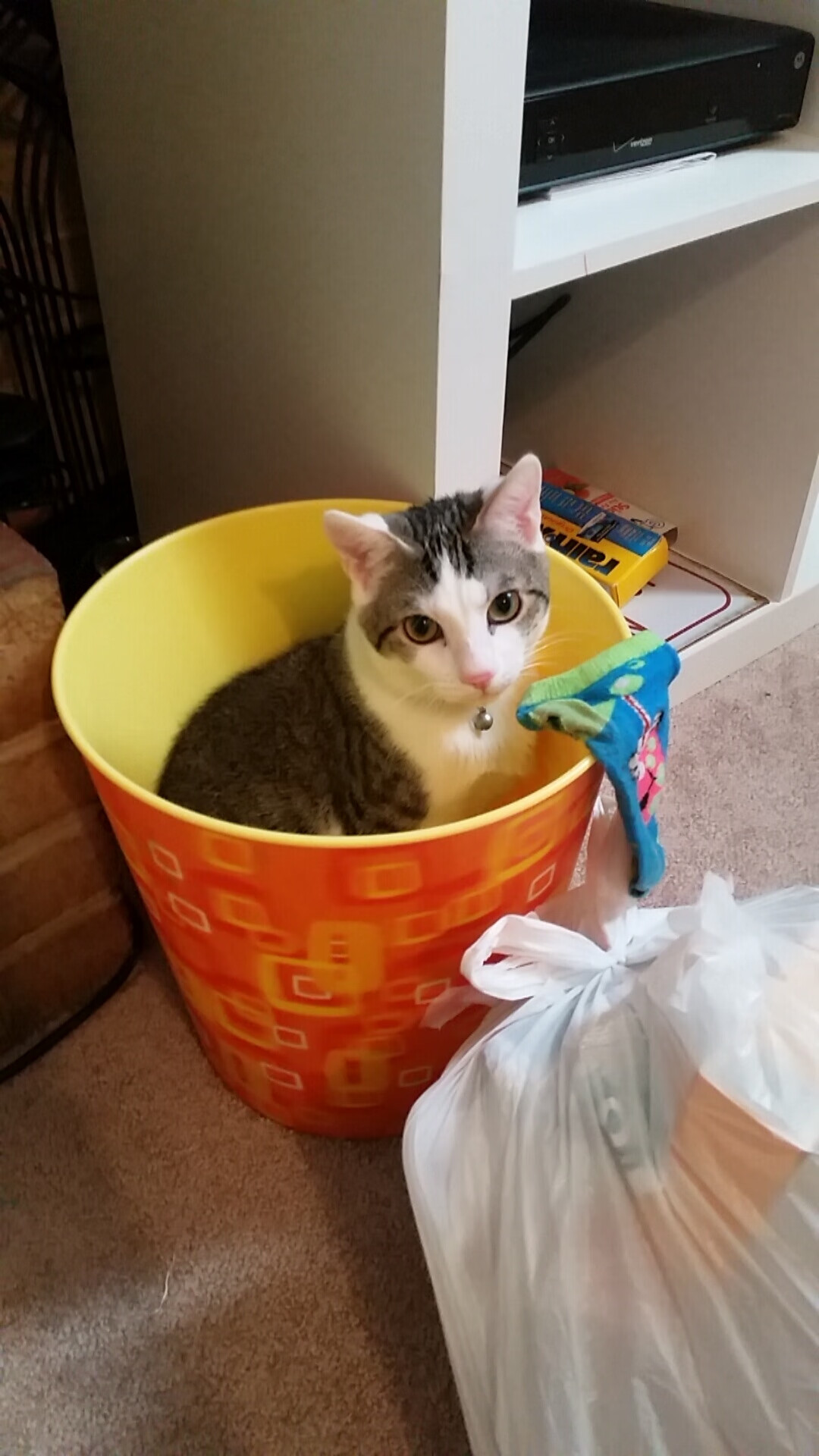 九游jiuyou-男子400混德国后程追击引掌声，德国女子400米运动员