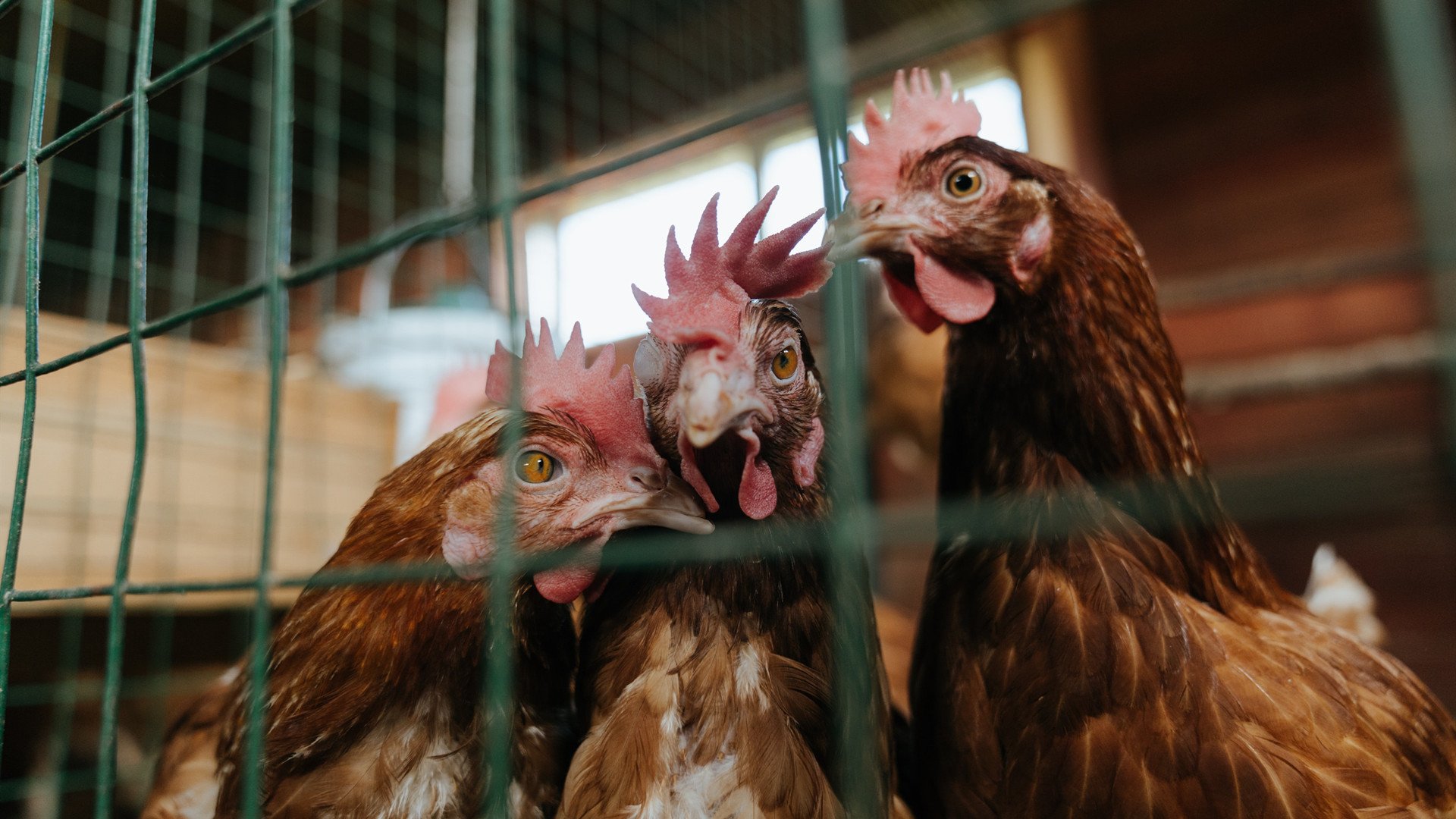 九游游戏中心官网-美国选手转身速度全场最快，美国选手转身速度全场最快多少秒