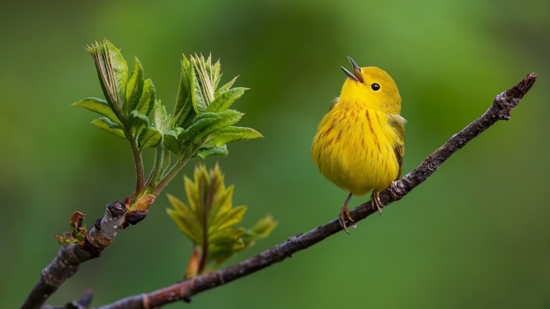 足球教练培训体系改革新方案出台,业余足球教练培训要求