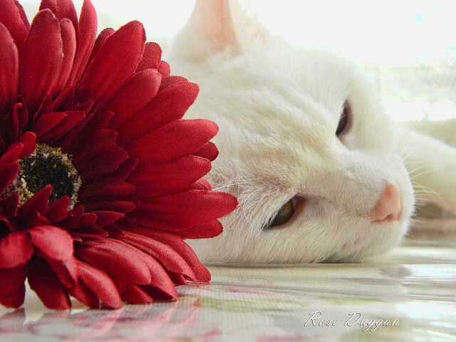 九游下载安装-体育新闻中心赛场外的故事，体育新闻赛事报道标题大全