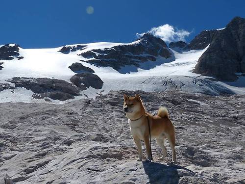 凯尔特人球队内部分工明确营造高效节奏，凯尔特人球队阵容