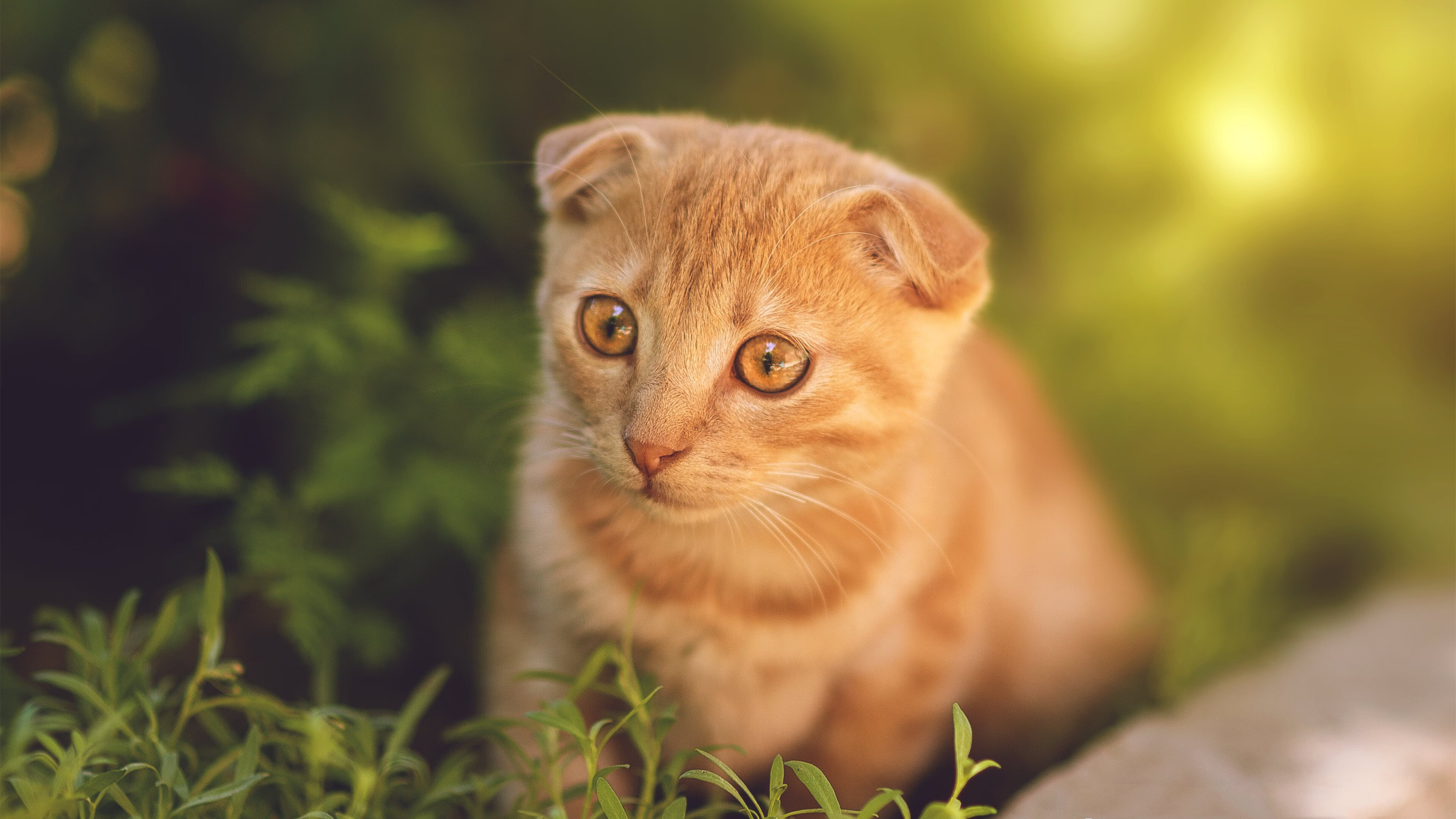 冬季两项运动员备战奥运会，冬季两项知名运动员