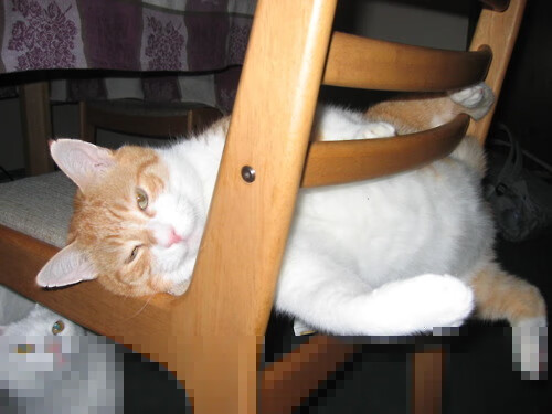 九游正版入口-曼联后卫伤愈复出助球队重回正轨，曼联后卫线