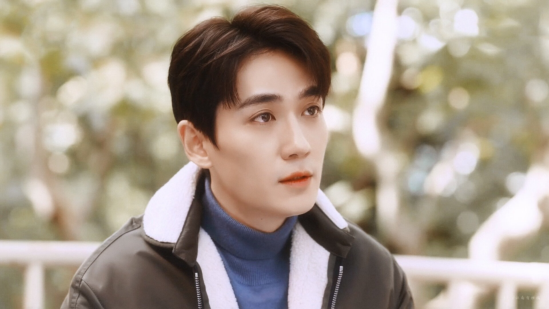 欧洲杯冠军争夺:双方拼尽全力的战场,欧洲杯冠军大热