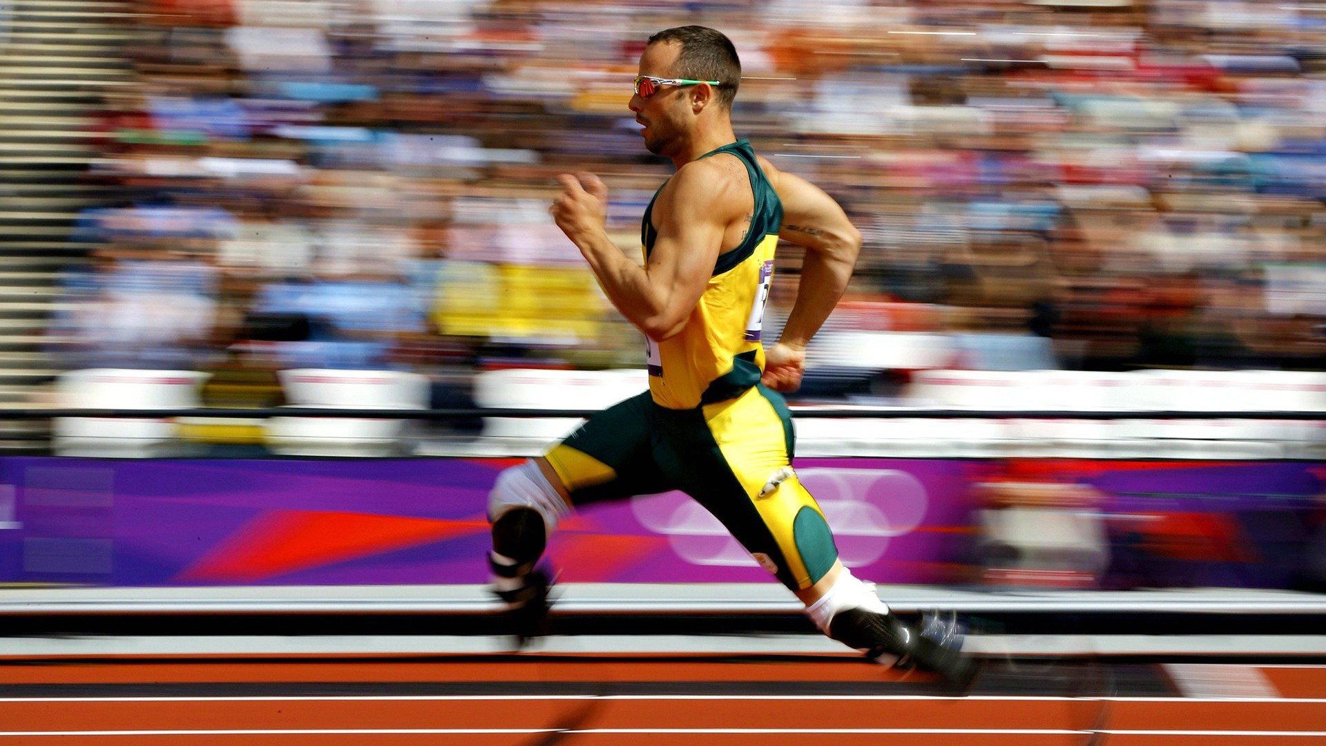 九游乐鱼电竞-运动表现评估技术的可靠性与实用性分析,运动表现测试与评估指南